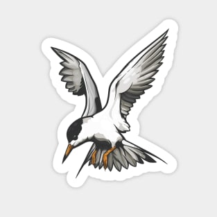 Forster's Tern Sticker